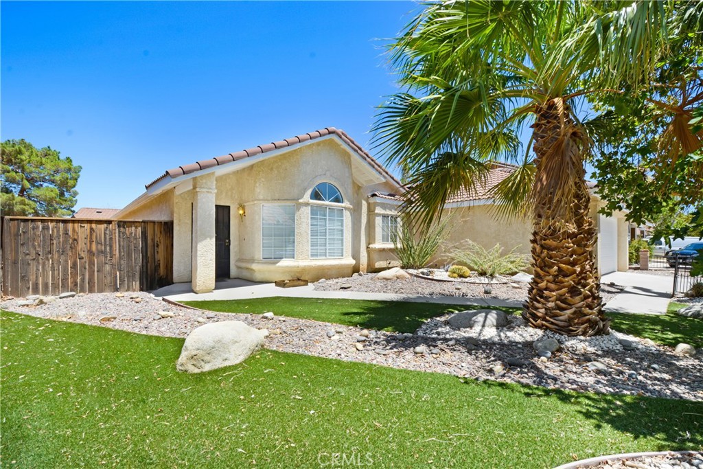 555 Conifer Drive