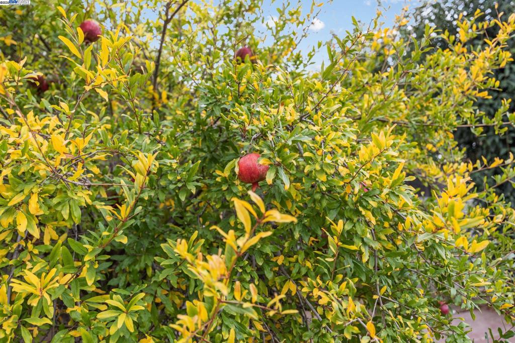 HEIGHTS - Residential