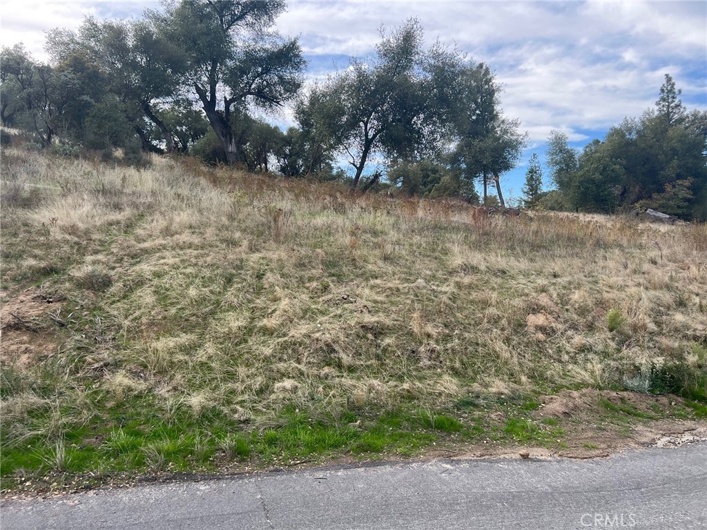 Properties 4 0 Hangtree Court