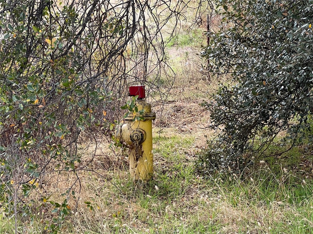 Properties 1 0 Hangtree Court