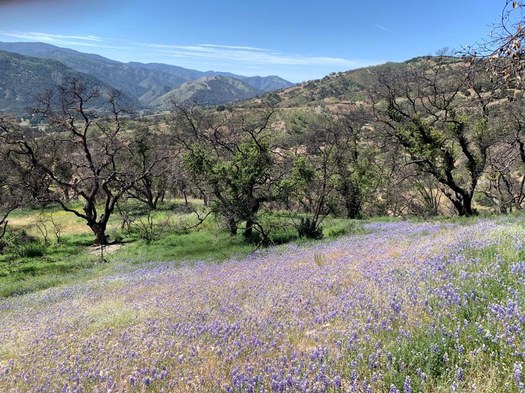 Enjoy your one-of-a-kind countryside oasis! This exquisite property is located at an elevation or 1820 Feet and boasts a lush 80 acres of rolling hills and majestic oaks. It features single or multiple home sites, a potential vacation getaway and or business venture retreat. It is also prime land for a vineyard in this prestigious wine country. So many opportunities abound! Wake up every morning to 360-degree panoramic scenic Valley views. Sleep peacefully every night in this quiet community. A perfect hideaway in renowned Carmel Valley, with the convenience of the amenities of the Carmel Valley Village nearby, and its many attractions of gourmet dining, wine tasting and shops. Spectacular views and year-round sunshine, on a premier undeveloped parkland. Lifetime memories await. Come and take a look!