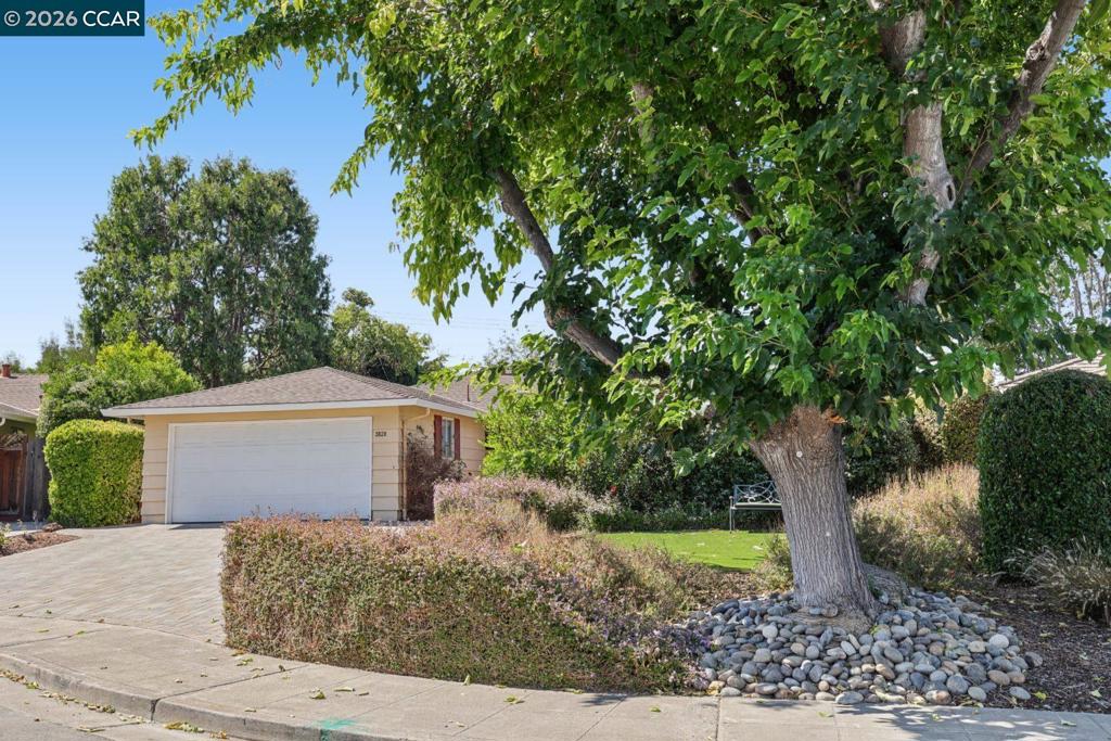 3820 Thrush Ct