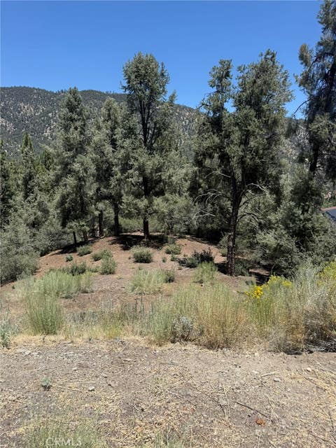 Photo of 2424 Cedarwood DR, Pine Mountain Club, CA 93222 (MLS # SR26180341)