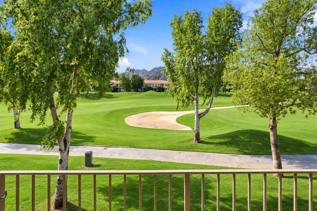 55341 Winged Foot