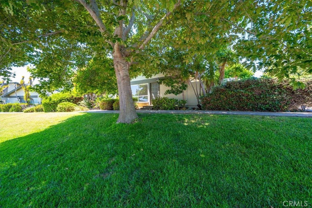 1750 Prefumo Canyon Road 17