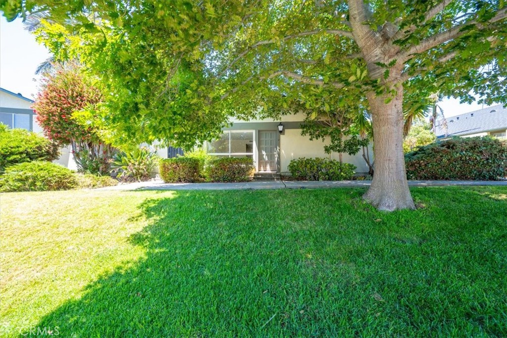 1750 Prefumo Canyon Road 17