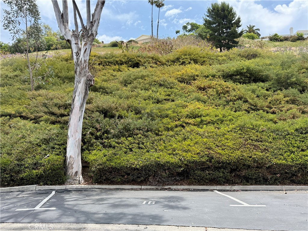 Hillhurst Condos (HHC) - Residential
