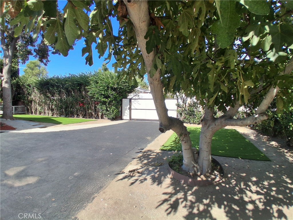11662 Glamis Street