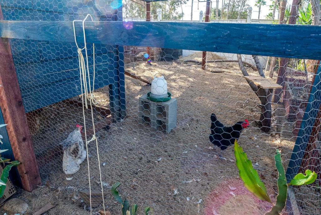 La Mesa - Residential