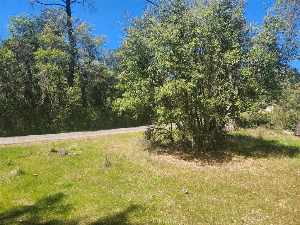 13903 Ingersoll Drive