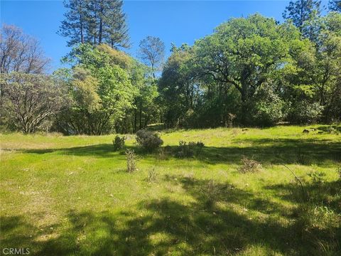 Photo of 13903 Ingersoll Drive, Dobbins, CA 95935 (MLS # OR26059081)