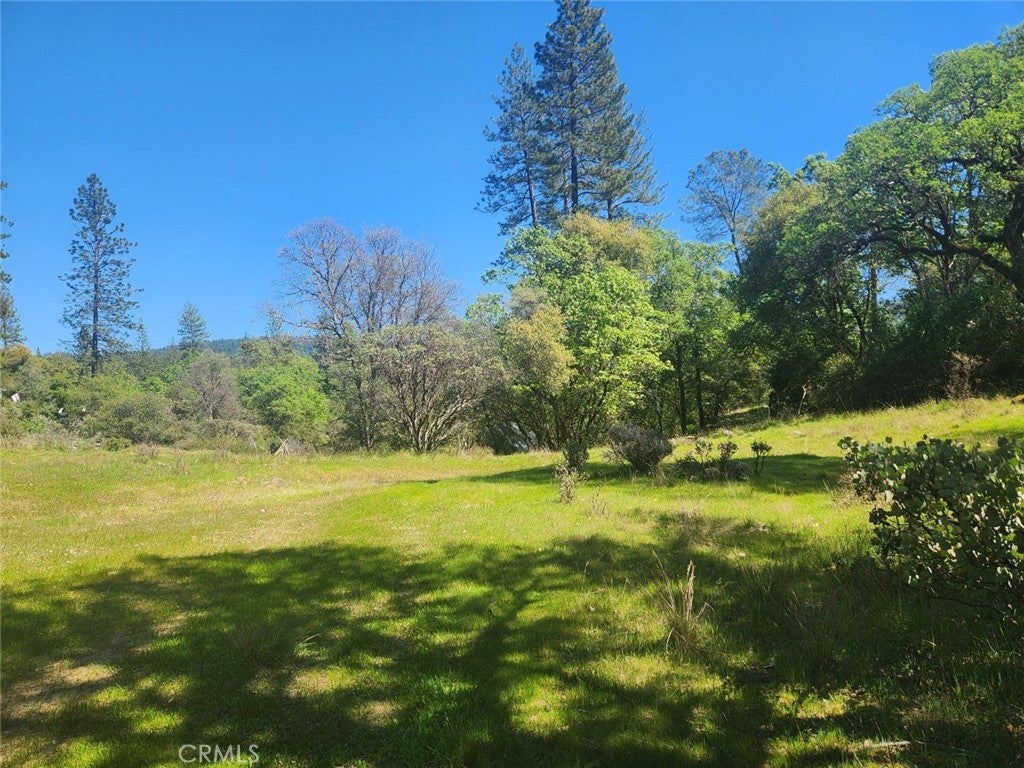 13903 Ingersoll Drive