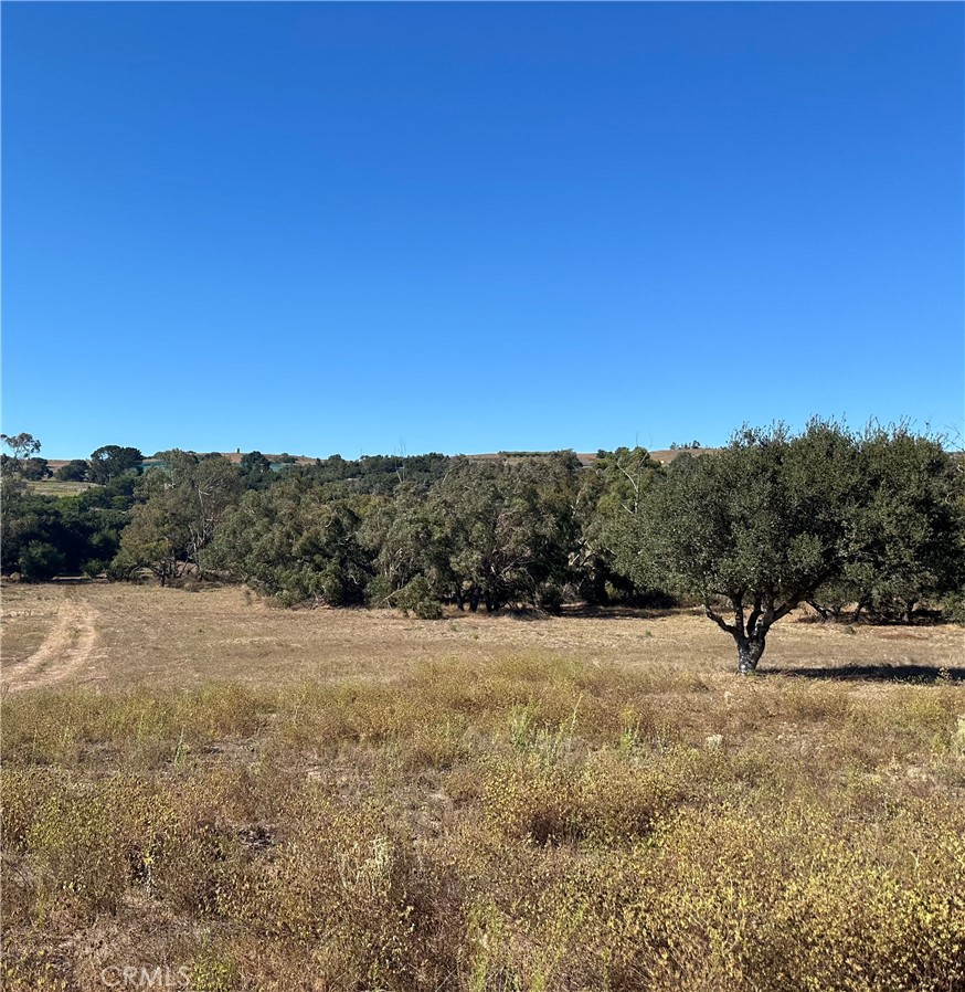 1990 Tularosa Road