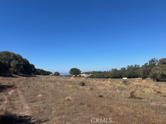 1990 Tularosa Road