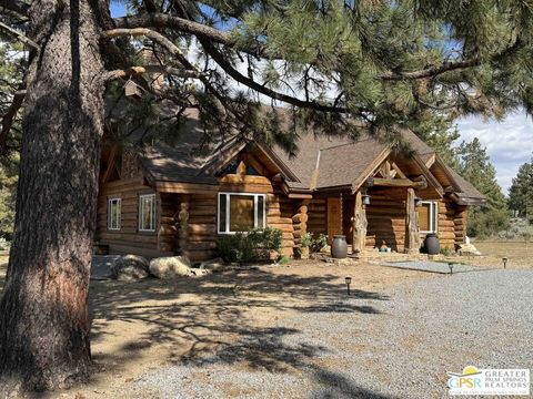 Photo of 60164 Devils Ladder Road, Mountain Center, CA 92561 (MLS # 25560851PS)