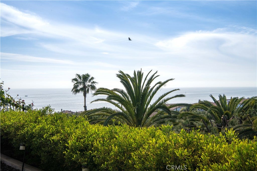 6 Surfspray Bluff