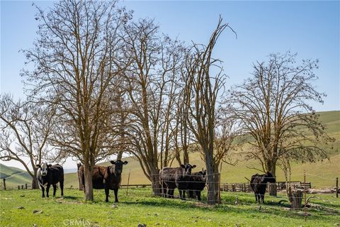 Tiny photo for 3160 Gillis Canyon Road, Shandon, CA 93461 (MLS # NS22035038)