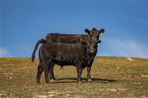 Tiny photo for 3160 Gillis Canyon Road, Shandon, CA 93461 (MLS # NS22035038)