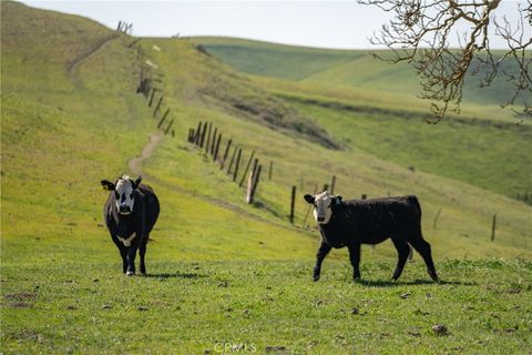 Tiny photo for 3160 Gillis Canyon Road, Shandon, CA 93461 (MLS # NS22035038)