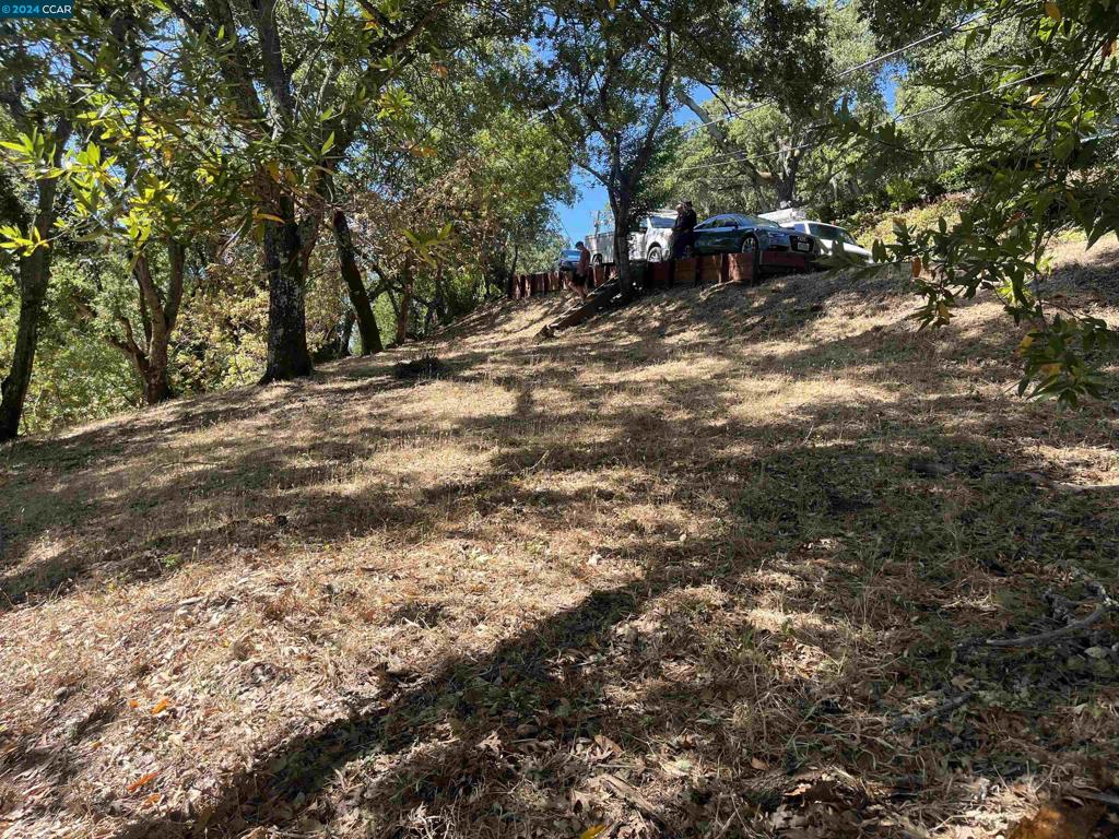 Build your dream home in Orinda's Sleepy Hollow neighborhood. This .55 downslope lot sits above the Orinda valley and is surrounded by oak trees and multimillion-dollar homes. Located near the Orinda Country Club, downtown Orinda, Briones Regional Park, Tilden Park, & the Lafayette Reservoir. Excellent Acalanes Schools include Miramonte High, Orinda Intermediate, and Sleepy Hollow Elementary. A quick access to BART, highway 24, Berkeley and San Francisco. Plans have been approved for a 3500 square foot home and is permit-ready for engineering.