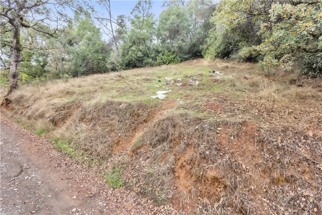 12636 Lakeview