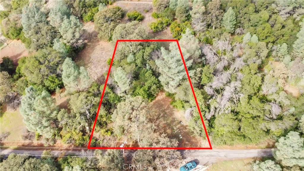 12636 Lakeview