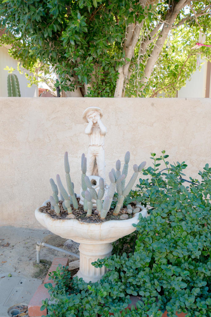 Desert Grove - Manufactured In Park