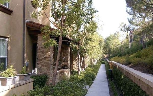 Ashton Green (ASHG) - Residential Lease