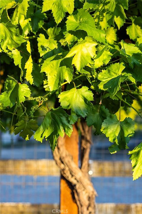 Tiny photo for 927 Osos Way, Paso Robles, CA 93446 (MLS # SC26082148)