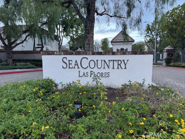 229 Seacountry
