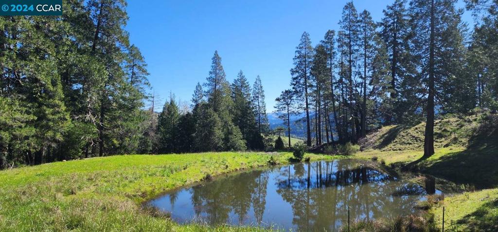 Seize the opportunity to own a vast and serene 40-acre lot, graced by a tranquil pond ready to be the highlight of your own private sanctuary. Perfect for visionaries aiming to build a dream home or develop a retreat, this expansive land promises endless possibilities. Enjoy the picturesque backdrop of nature's canvas with ample open space. This vacant land is a blank slate awaiting your plans, whether it be for agriculture, recreation, or a custom estate. Don't miss the chance to let your imagination roam as freely as the breezes over your own slice of paradise. Possible Owner's Financing