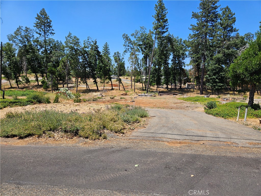 Nice lower Magalia location for this ample sized .24 acre lot. Property is located in the (PPPOA) Paradise Pines Property Owners Association, for only $310 per year you can enjoy the many perks the Association offers including, a swimming pool, & hot tub, clubhouse, tennis courts, pickleball, basketball, walking trails plus more. Don't miss out on this chance to purchase an affordable property in a community of re-growth and opportunity. Buyers to investigate all information to their satisfaction.