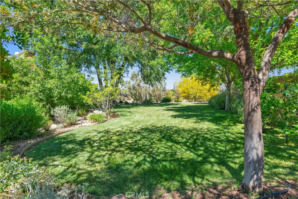 4525 Buena Vista Drive