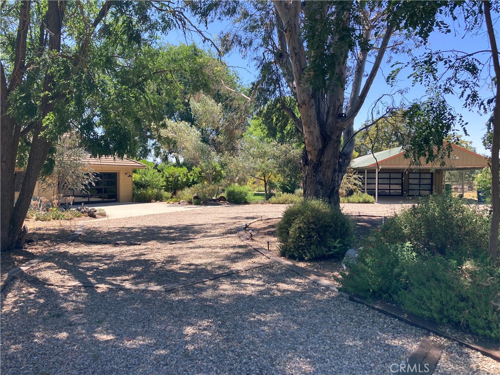 4525 Buena Vista Drive