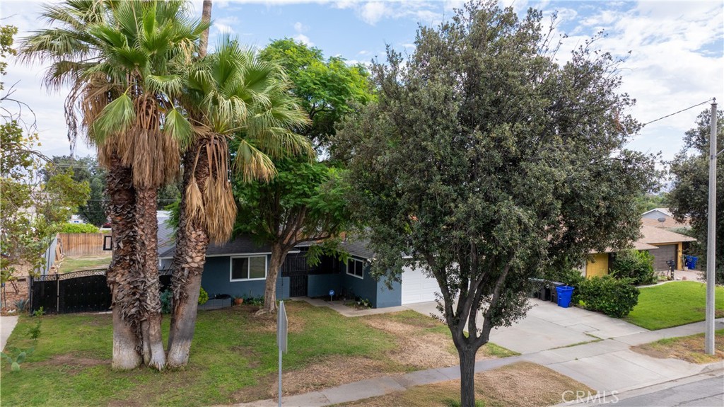 711 N Eucalyptus