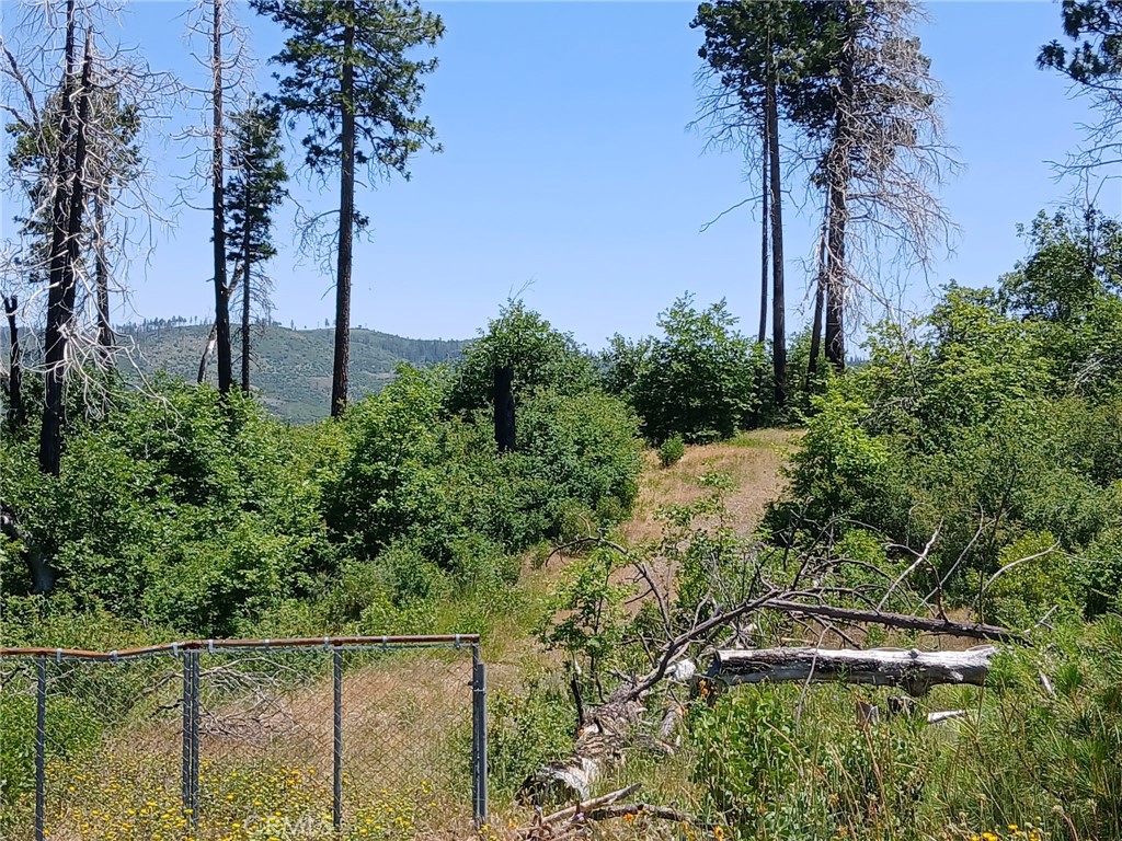The views are endless from this beautiful property. The "home site" is set back off the main road, flat and ready for its next home. According to the seller, there is a working solar-operated well and septic system on the land where an off-grid home used to sit before the fires.