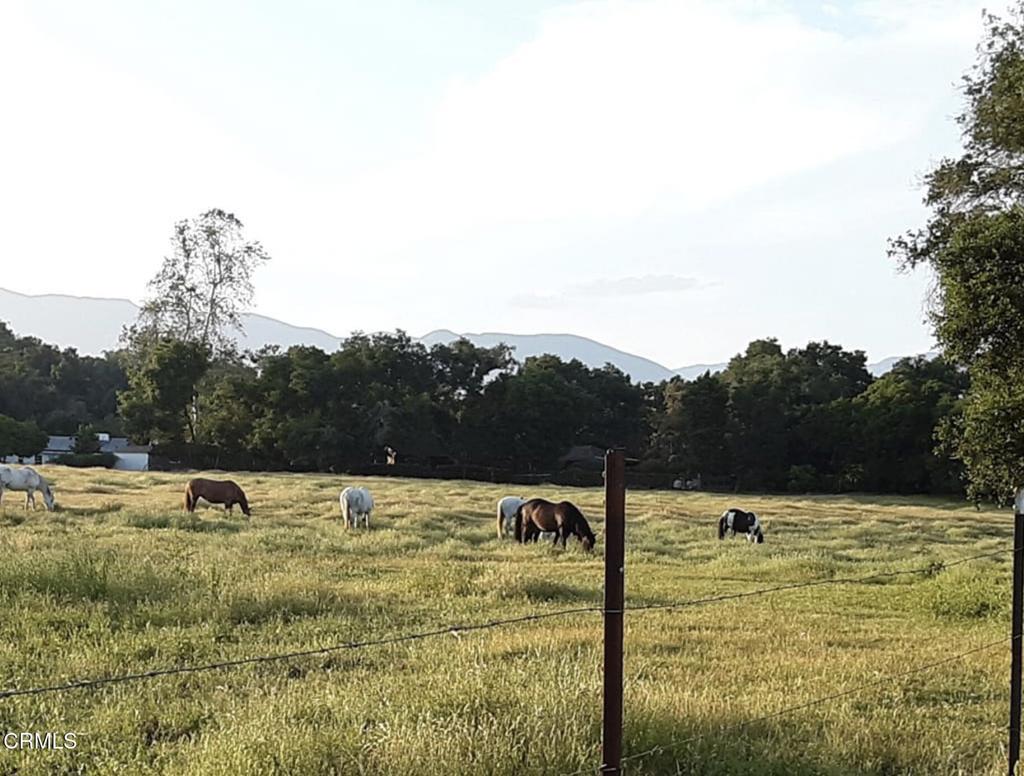 Not Applicable - Land