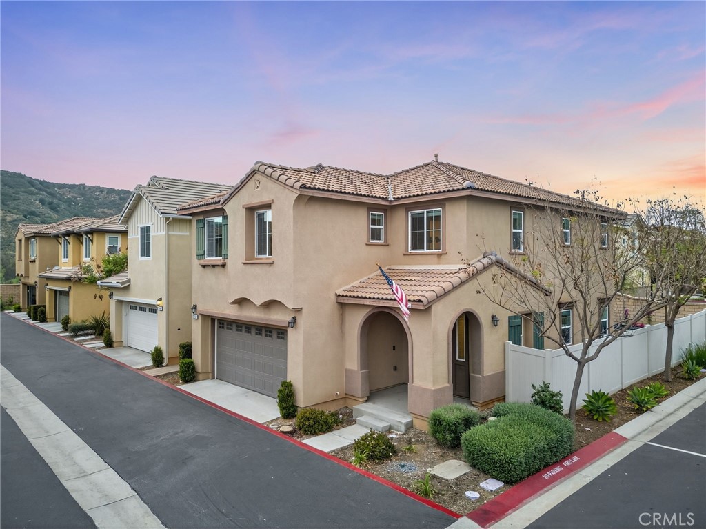 35462 Brown Galloway