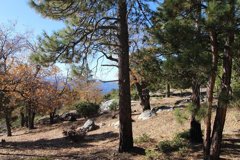 Not Applicable-1 - Land