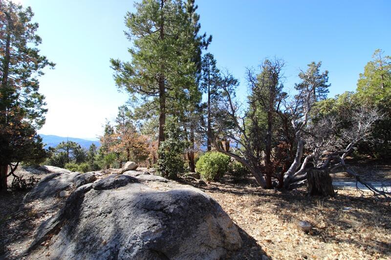 Not Applicable-1 - Land