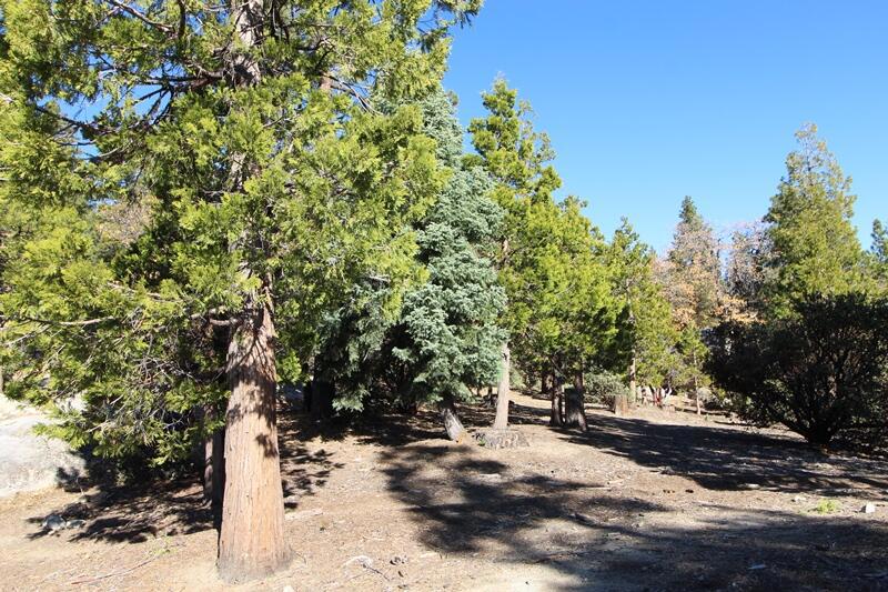 Not Applicable-1 - Land