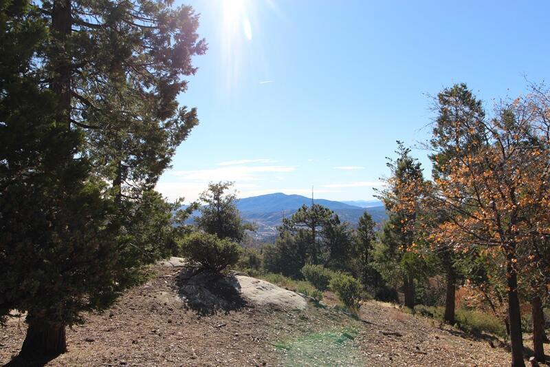 Not Applicable-1 - Land