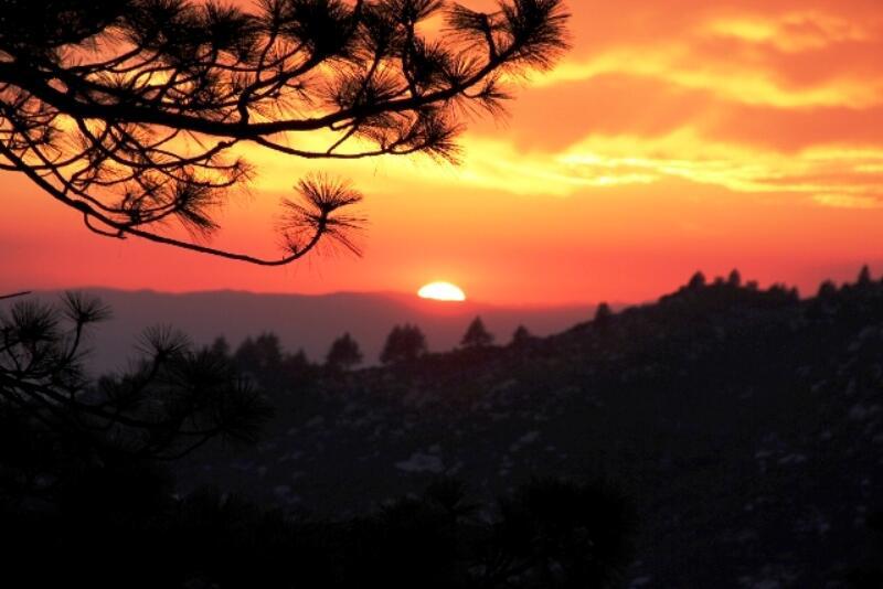 Not Applicable-1 - Land