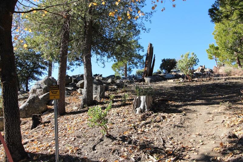 Not Applicable-1 - Land