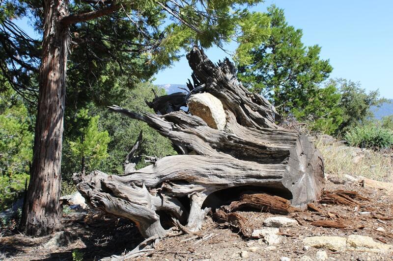 Not Applicable-1 - Land