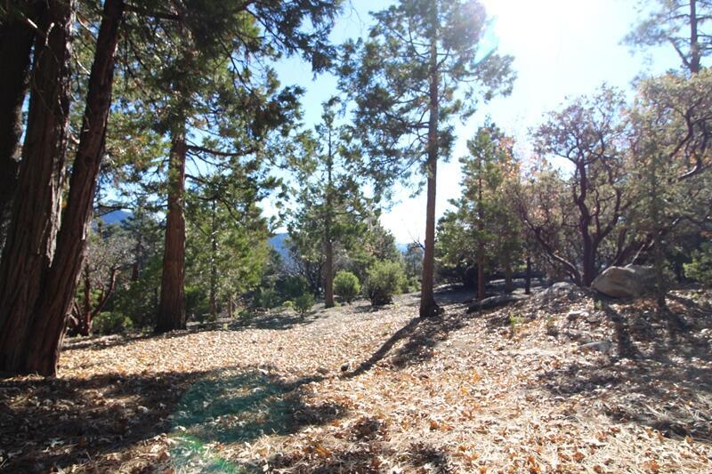 Not Applicable-1 - Land