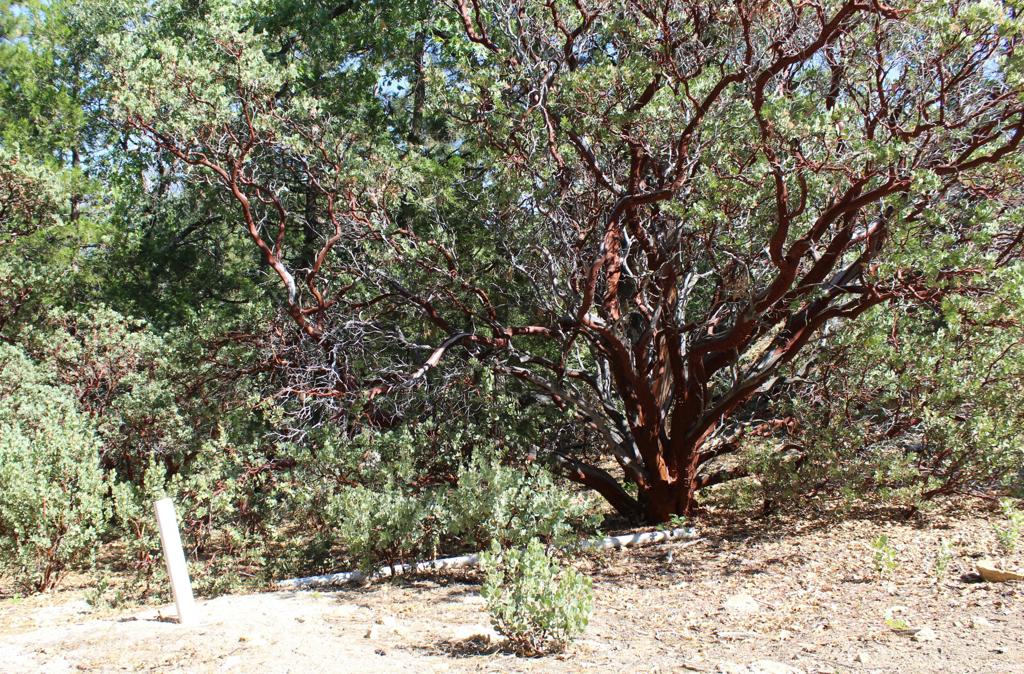 Not Applicable-1 - Land