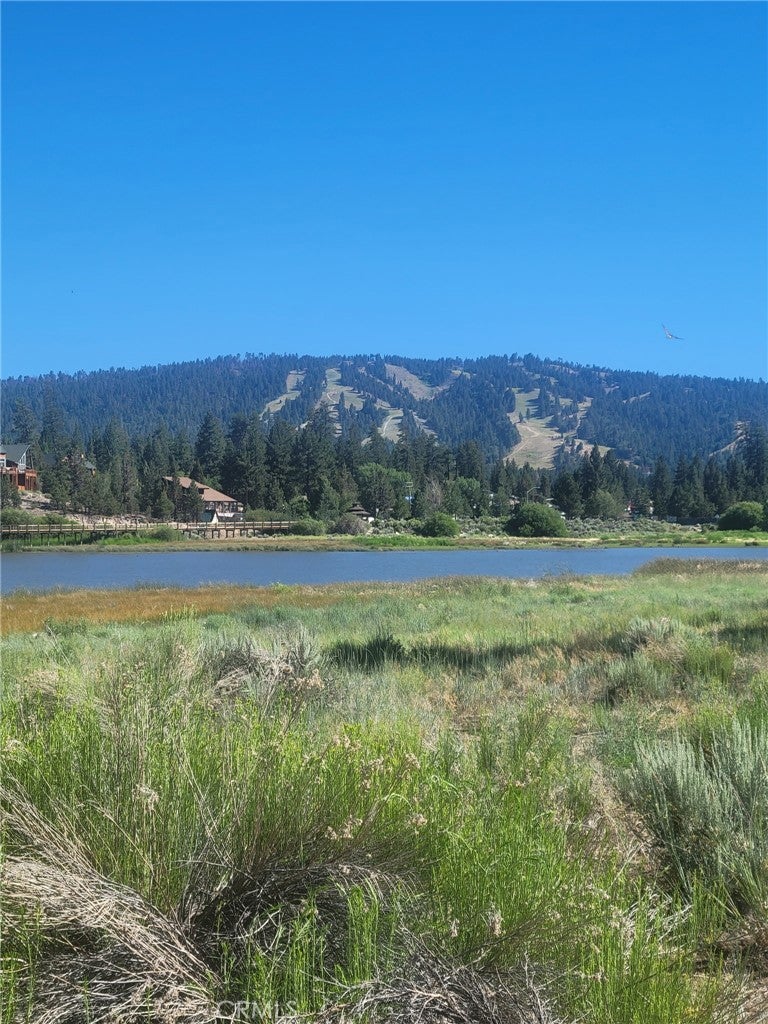 38 North Shore