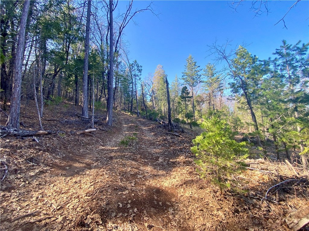 10130 Seigler Springs North