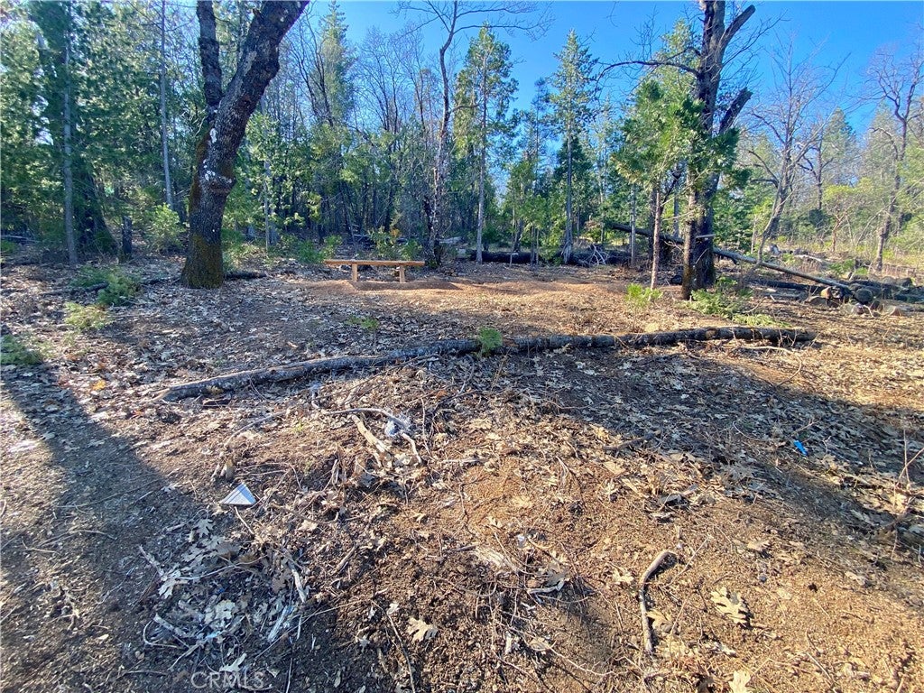 10130 Seigler Springs North